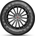 Doublestar DS01 235/65 R17 104T 