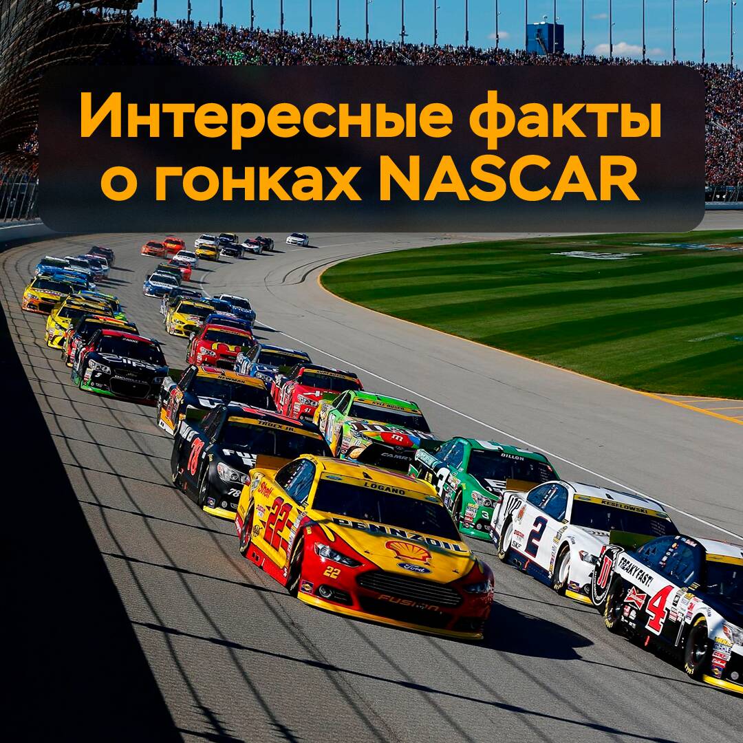 Интересные факты о гонках NASCAR